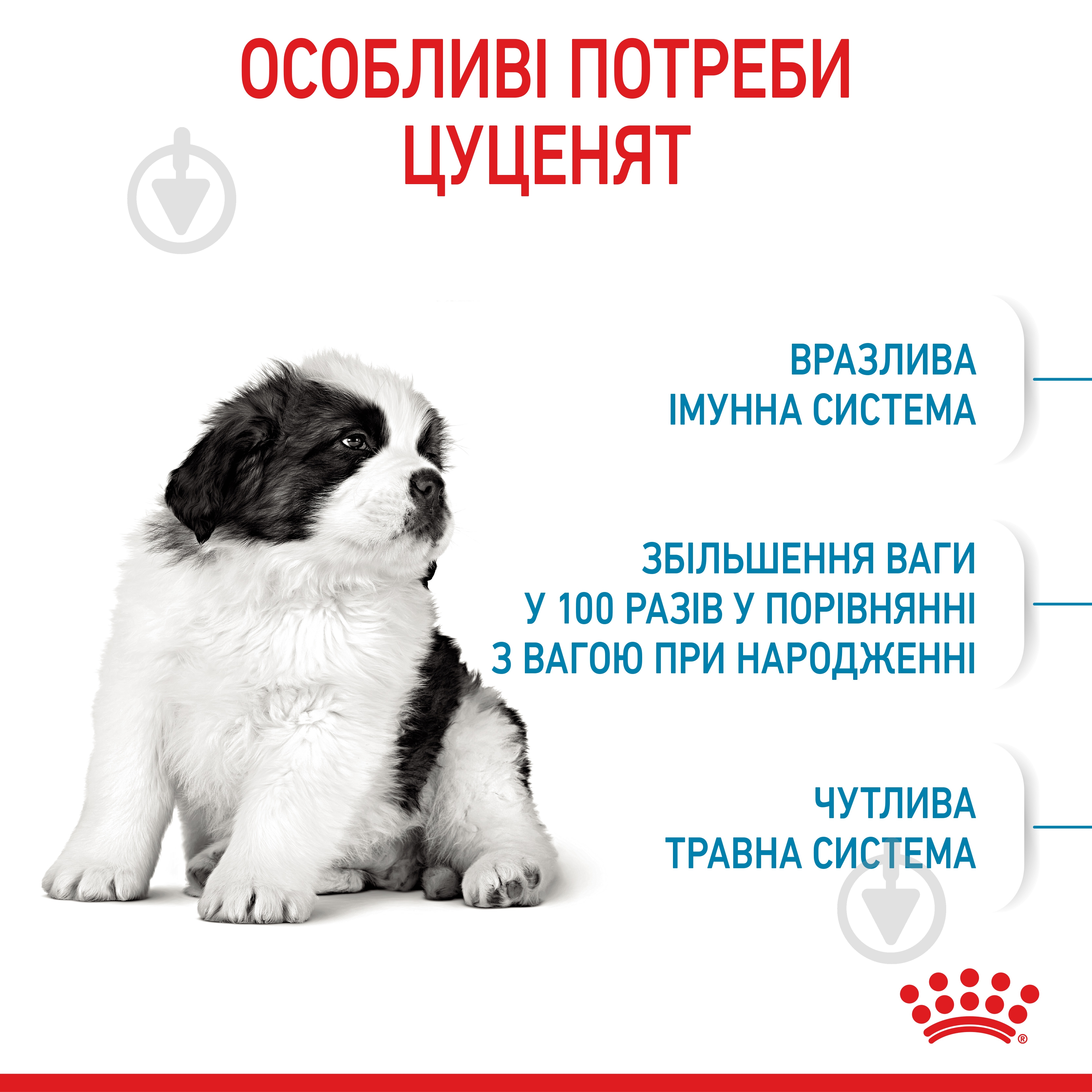 Корм сухий Royal Canin GIANT PUPPY 15 кг (кукурудза, рис) 15 кг - фото 5 Корм сухий Royal Canin GIANT PUPPY 15 кг (кукурудза, рис) 15 кг - фото 5