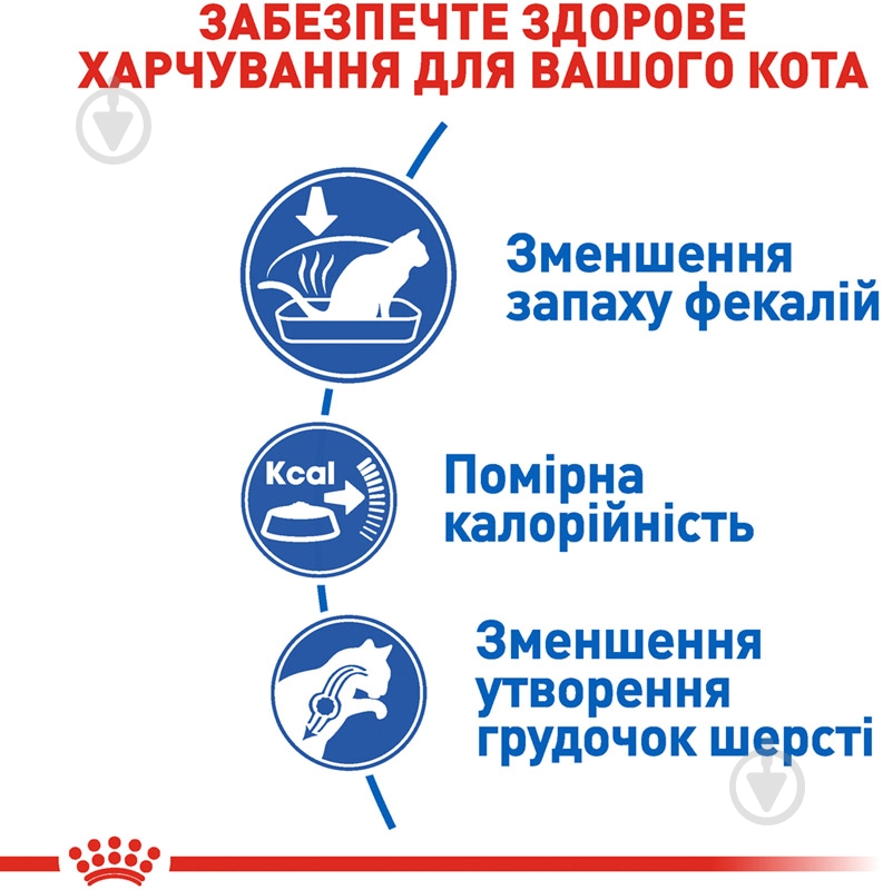 Корм сухой для домашних кошек от 12 месяцев до 7 лет, проживающих в помещении Royal Canin Indoor птица, пшеница 4 кг - фото 5
