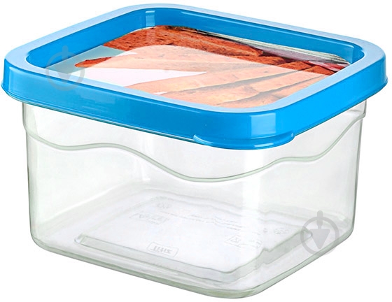 Контейнер с крышкой Titiz Plastik Biscovery 0,55 л AP-9187-LB - фото 1