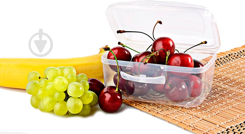 Ланч-бокс Titiz Plastik Takeaway 350 мл AP-9265-LB - фото 2