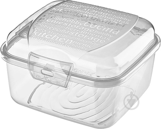 Ланч-бокс Titiz Plastik Takeaway 850 мл AP-9269-GY - фото 1