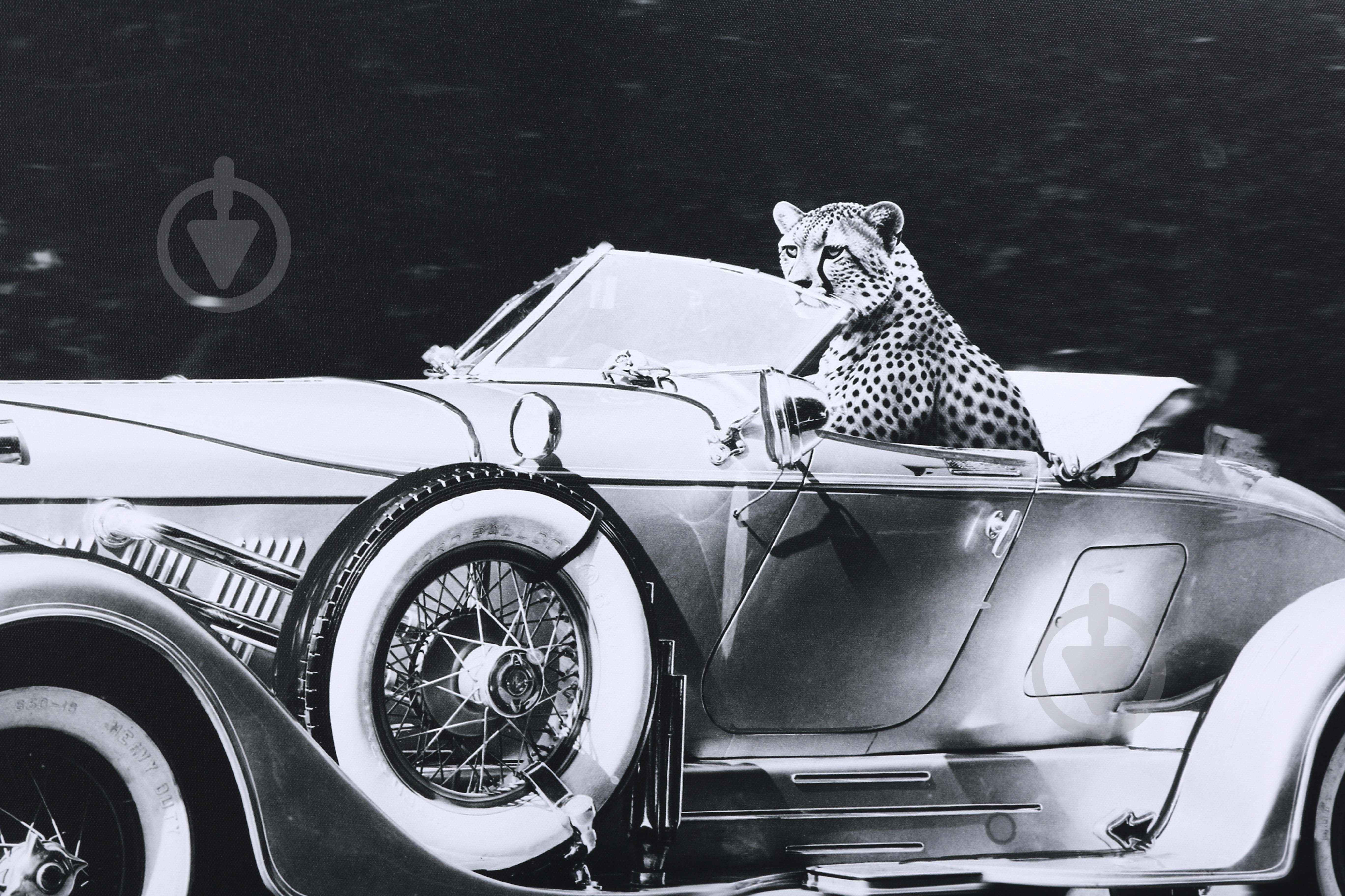 Картина Гепард 100x70 см Styler CA-18499 - фото 2 Картина Гепард 100x70 см Styler CA-18499 - фото 2