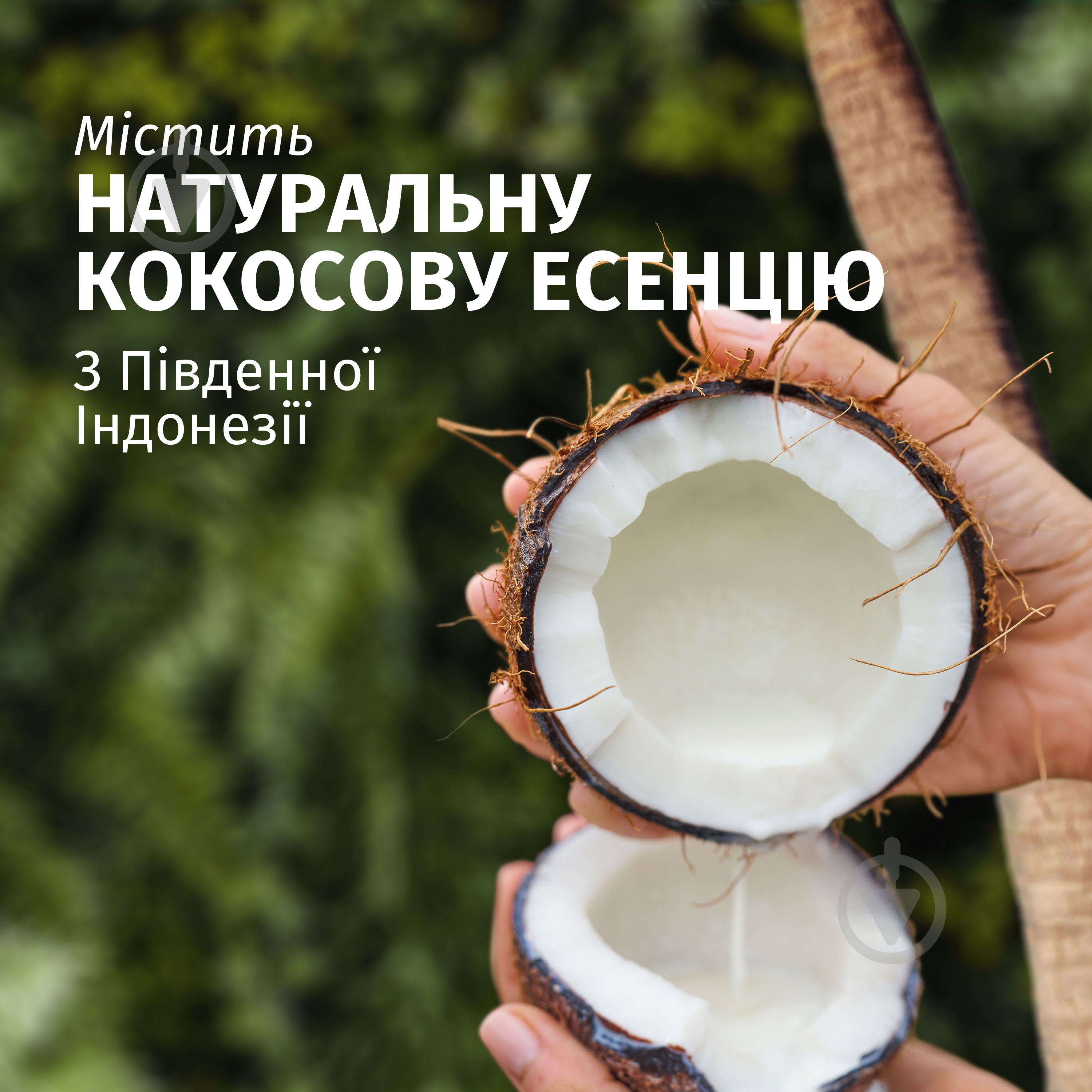 Шампунь Herbal Essences "Кокос" питательный 350 мл - фото 2 Шампунь Herbal Essences "Кокос" питательный 350 мл - фото 2