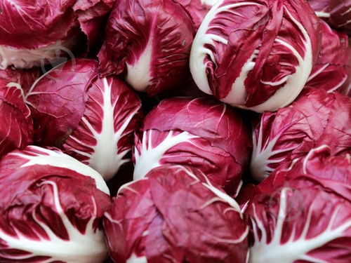 Салат свіжий радіччіо - фото 2 Салат свіжий радіччіо - фото 2