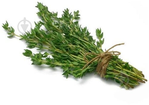 Тимьян свежий весовой - фото 1