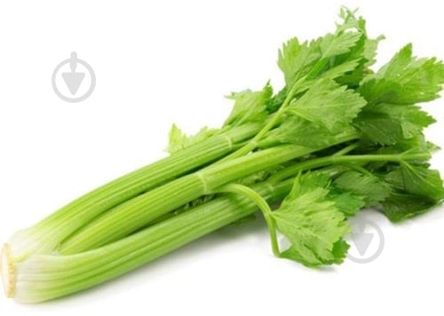 Стебель селеры свежий весовой - фото 1 Стебель селеры свежий весовой - фото 1