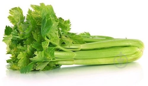 Стебель селеры свежий весовой - фото 2 Стебель селеры свежий весовой - фото 2