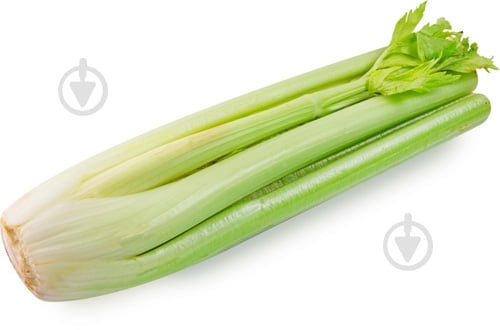 Стебель селеры свежий весовой - фото 4 Стебель селеры свежий весовой - фото 4
