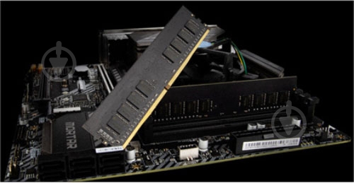 Оперативна пам'ять Netac DDR4 SDRAM 8 GB (1x8GB) 3200 MHz (NTBSD4P32SP-08) - фото 4