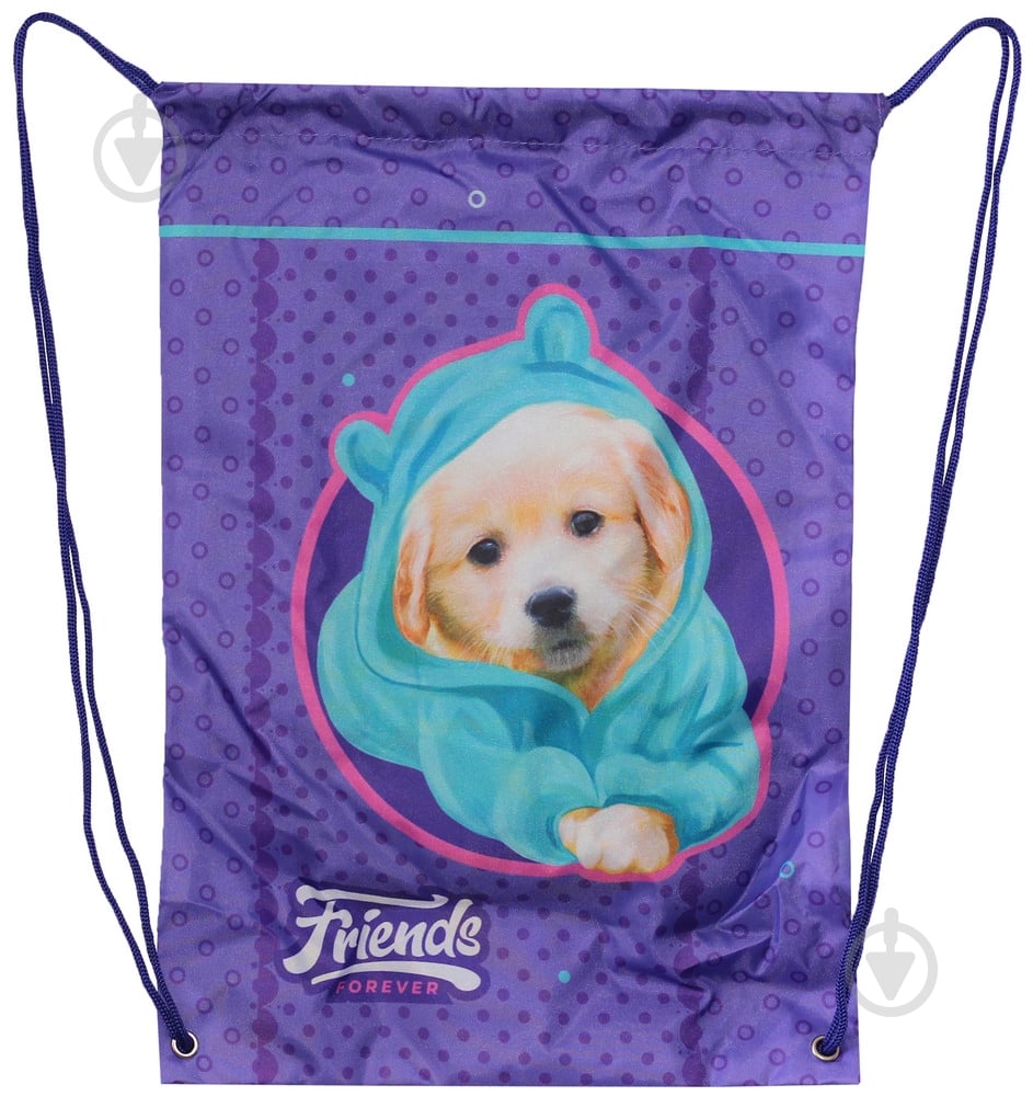 Сумка для обуви CLASS Friends 2432C - фото 1 Сумка для обуви CLASS Friends 2432C - фото 1