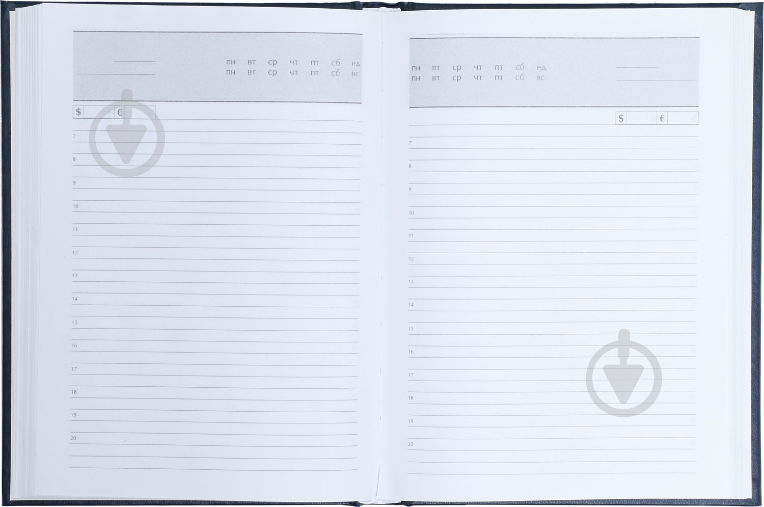 Дневник Expert A5 288 л синий Buromax - фото 3