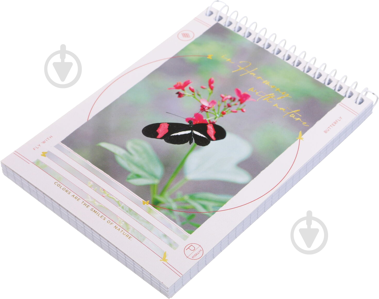 Блокнот А6 в клеточку 96 листов в ассортименте Поділля - фото 7 Блокнот А6 в клеточку 96 листов в ассортименте Поділля - фото 7