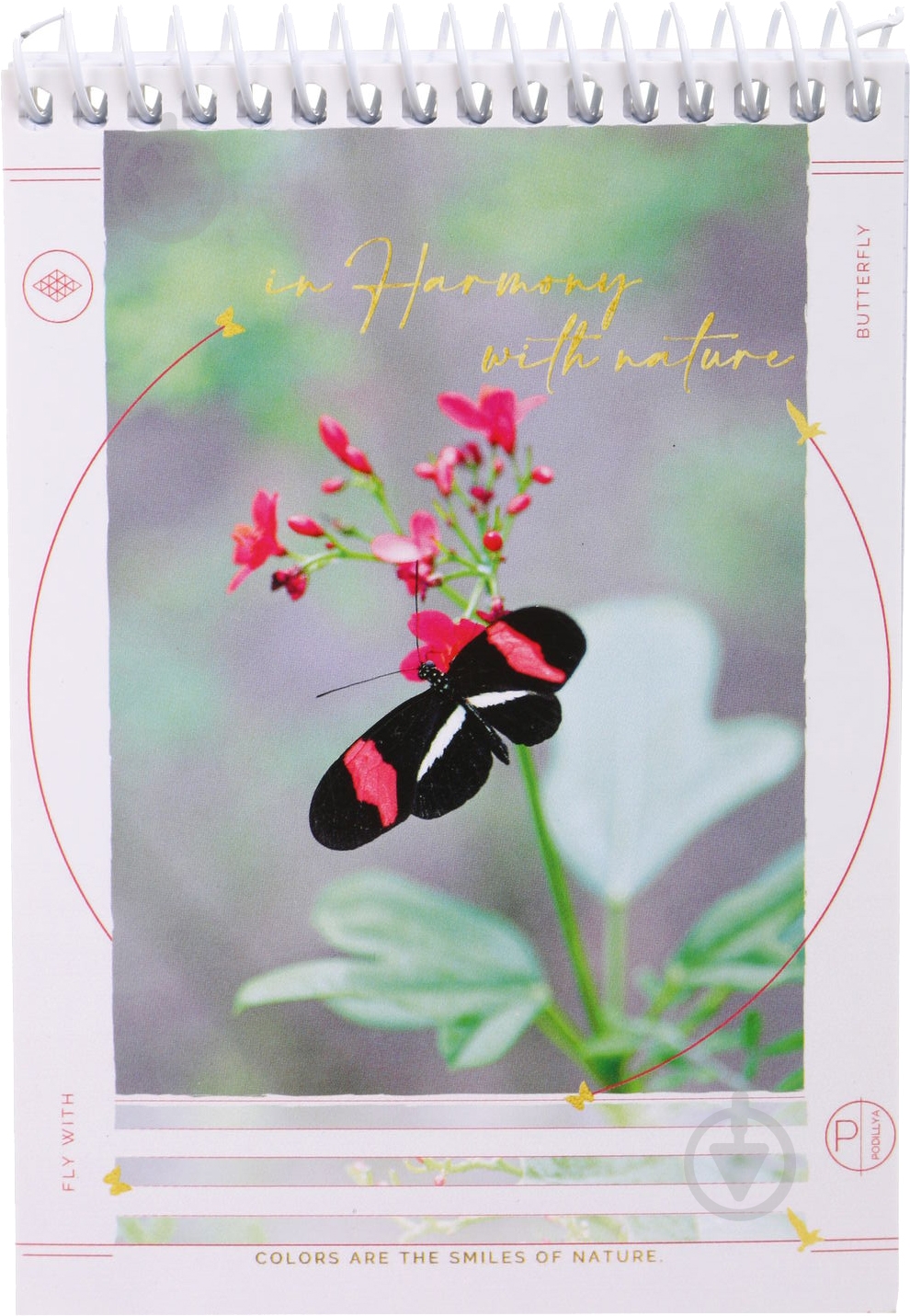 Блокнот А6 в клеточку 96 листов в ассортименте Поділля - фото 9 Блокнот А6 в клеточку 96 листов в ассортименте Поділля - фото 9