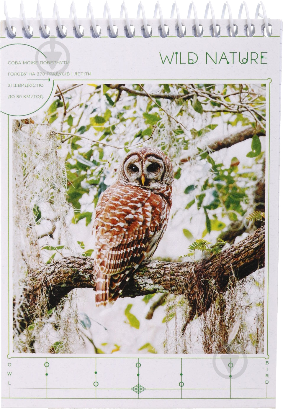 Блокнот А6 в клеточку 96 листов в ассортименте Поділля - фото 13 Блокнот А6 в клеточку 96 листов в ассортименте Поділля - фото 13