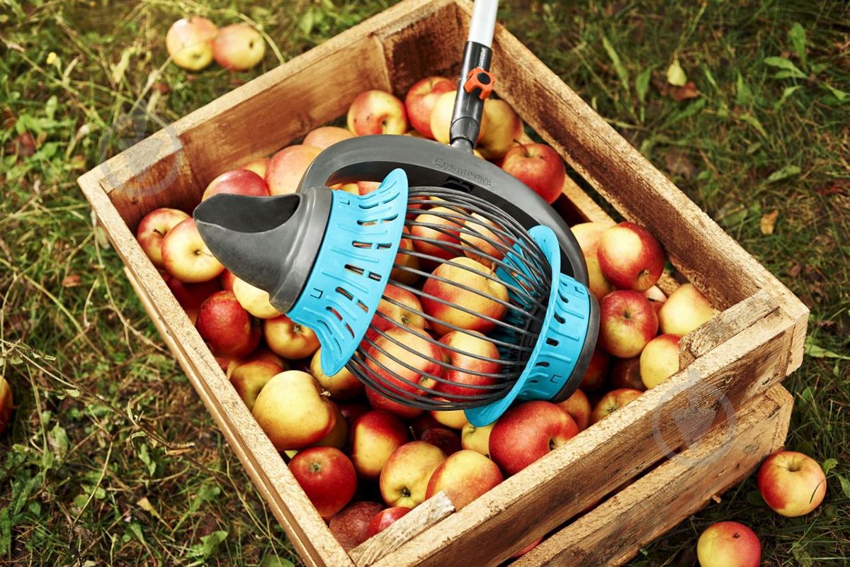 Сборщик фруктов Gardena 03108-20 - фото 3