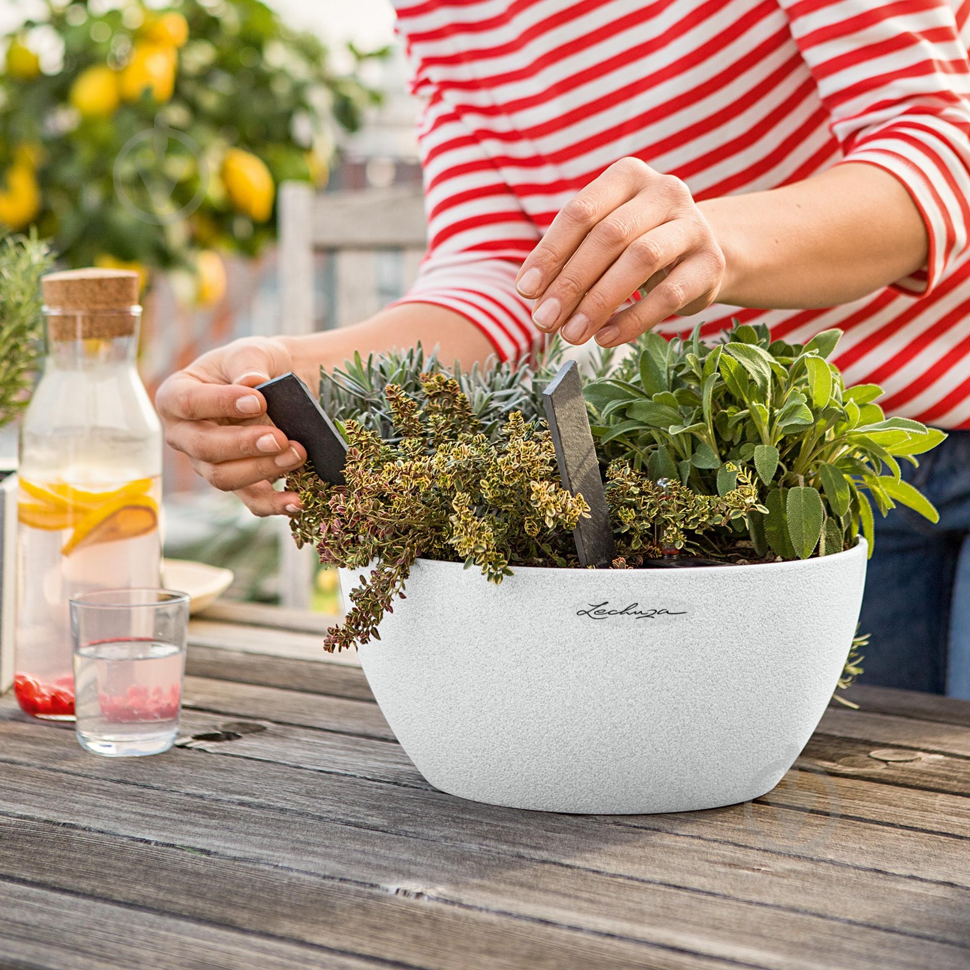 Вазон декоративный Lechuza Cubeto Color 30 круглый 4,5 л графитово-черный (13832) - фото 7 Вазон декоративный Lechuza Cubeto Color 30 круглый 4,5 л графитово-черный (13832) - фото 7