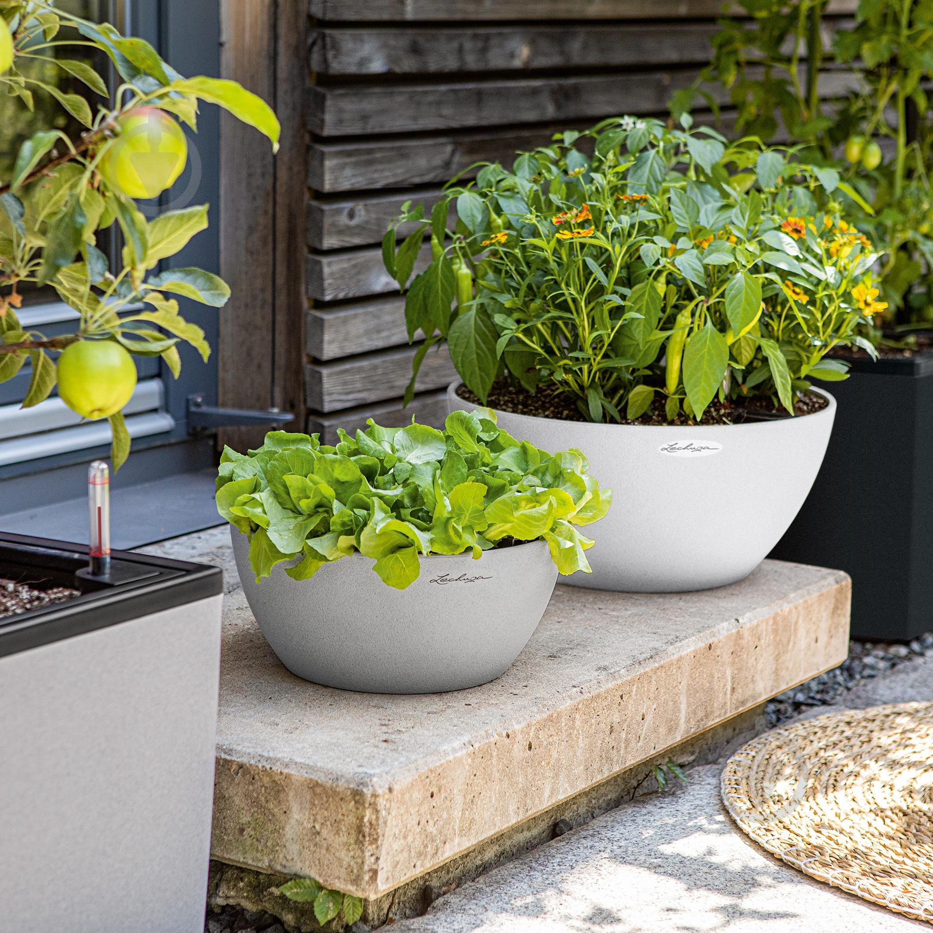 Вазон декоративный Lechuza Cubeto Color 30 круглый 4,5 л графитово-черный (13832) - фото 8 Вазон декоративный Lechuza Cubeto Color 30 круглый 4,5 л графитово-черный (13832) - фото 8