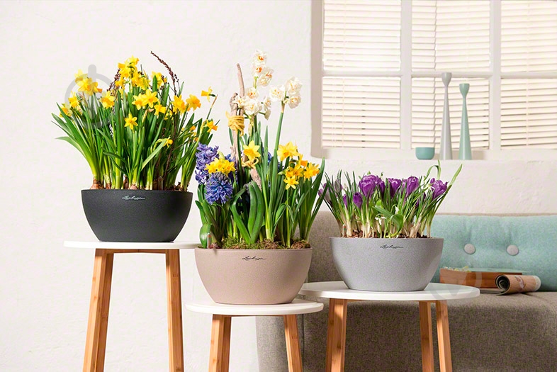 Вазон декоративный Lechuza Cubeto Color 40 круглый 11,5 л серый камень (13840) - фото 10 Вазон декоративный Lechuza Cubeto Color 40 круглый 11,5 л серый камень (13840) - фото 10