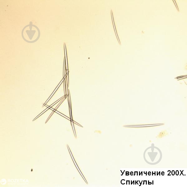 Микроскоп Optika B-155 40x-1000x Mono - фото 5 Микроскоп Optika B-155 40x-1000x Mono - фото 5