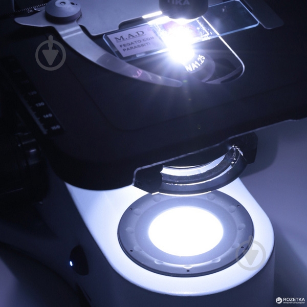 Микроскоп Optika B-383PLi 40x-1000x Trino Infinity - фото 2