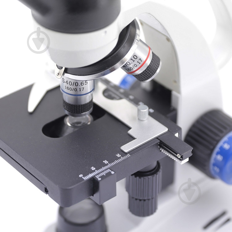 Микроскоп Optika M-100FLed 40x-400x Mono - фото 2 Микроскоп Optika M-100FLed 40x-400x Mono - фото 2