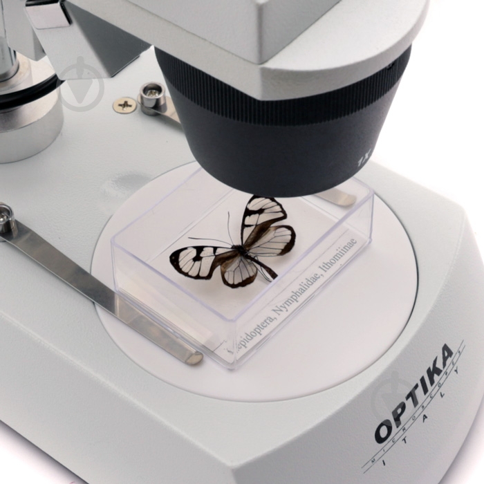 Микроскоп Optika ST-30FX 20x-40x Bino Stereo - фото 2