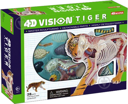 Объемная анатомическая модель 4D Master Тигр 26105 - фото 1