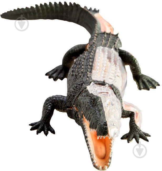 Объемная анатомическая модель 4D Master Крокодил 26114 - фото 3