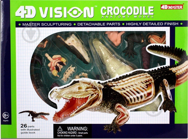 Объемная анатомическая модель 4D Master Крокодил 26114 - фото 1