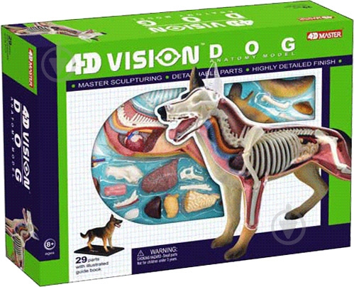 Объемная анатомическая модель 4D Master Собака 26115 - фото 1 Объемная анатомическая модель 4D Master Собака 26115 - фото 1