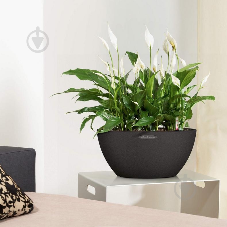 Вазон декоративний Lechuza Cubeto Color 40 круглий 11,5 л графітово-чорний (13842) - фото 5