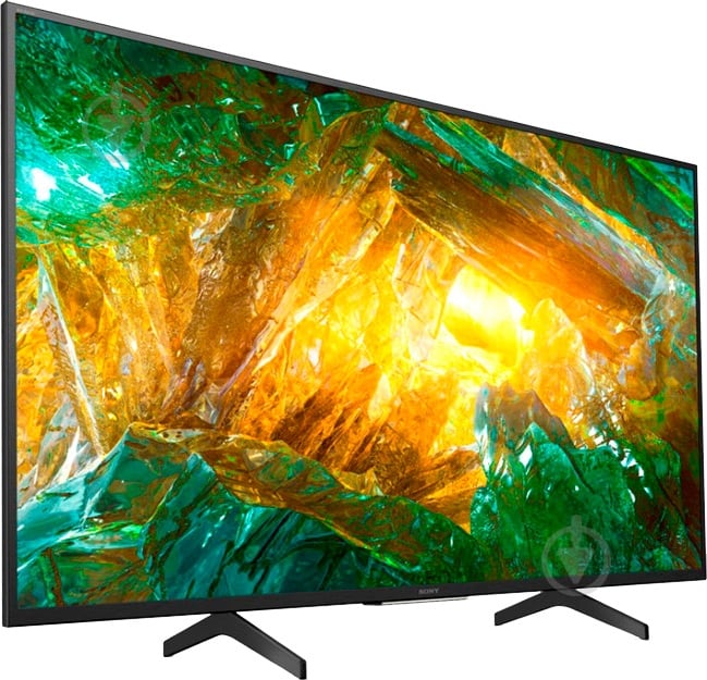 Телевізор Sony KD49XH8096BR - фото 4