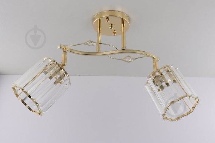 Люстра потолочная Focus Light 2x60 Вт E27 золото 3245/2 - фото 1