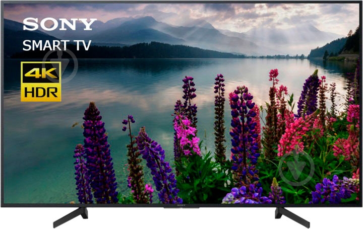 Телевизор Sony KD49XG7096BR - фото 1
