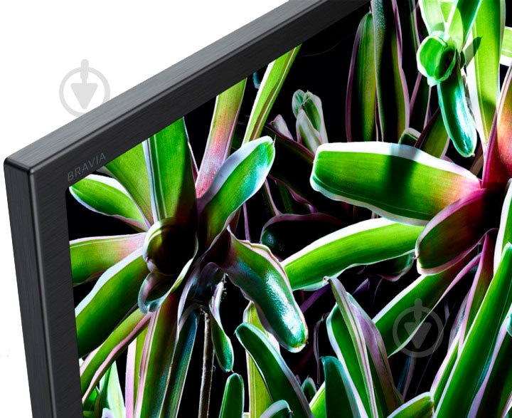 Телевизор Sony KD55XG7096BR - фото 2