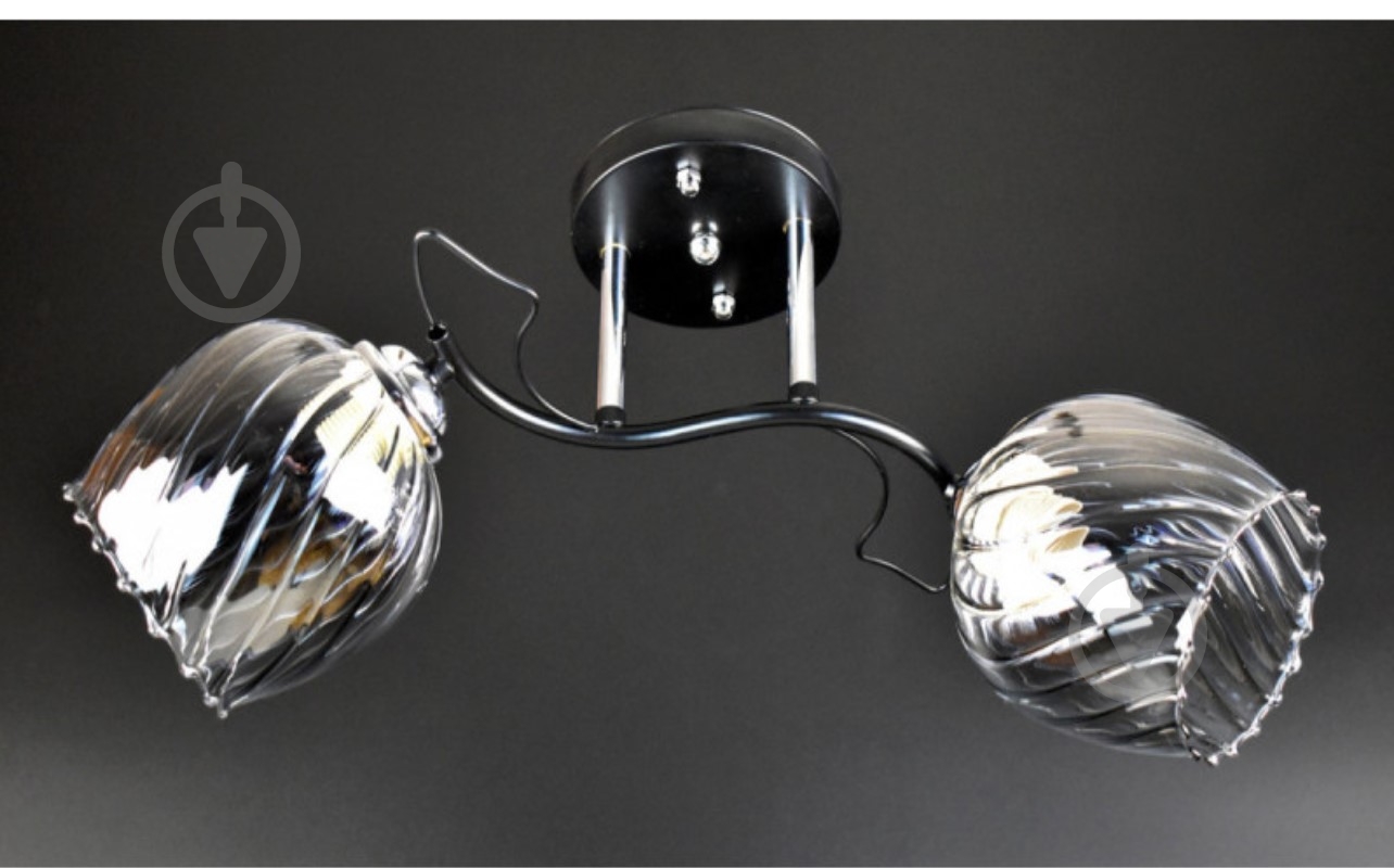 Люстра потолочная Focus Light 2x60 Вт Е27 черный 3224/2 - фото 1