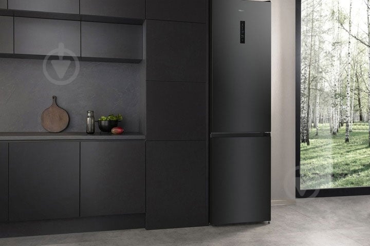 Холодильник Hisense RB470N4EFC1 (HZF4068SED) - фото 6