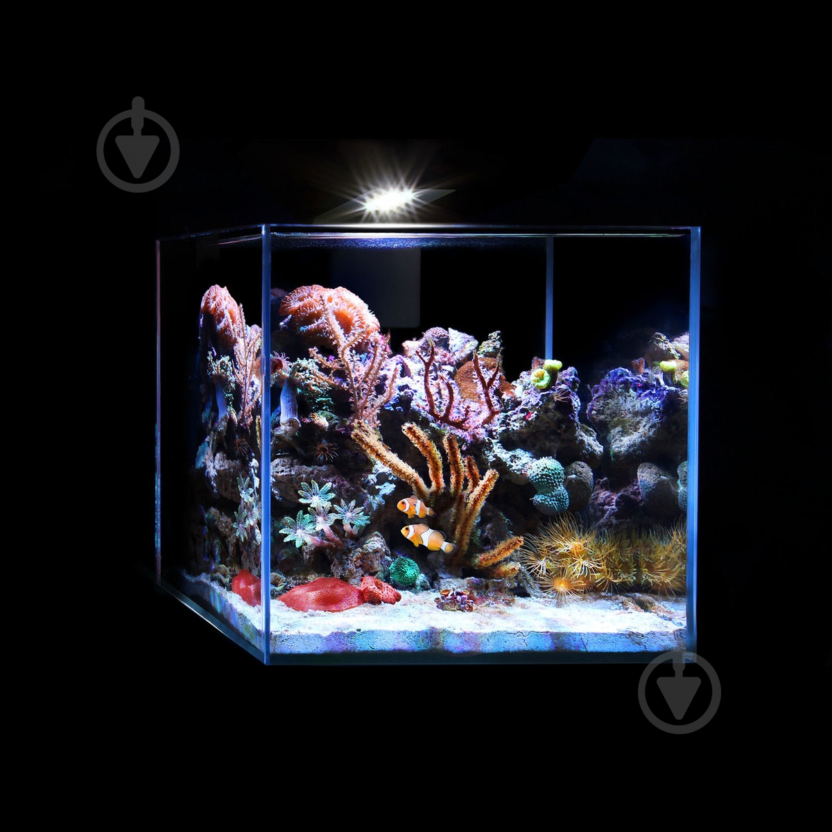 Набор аквариумный AquaLighter 15 л - фото 4