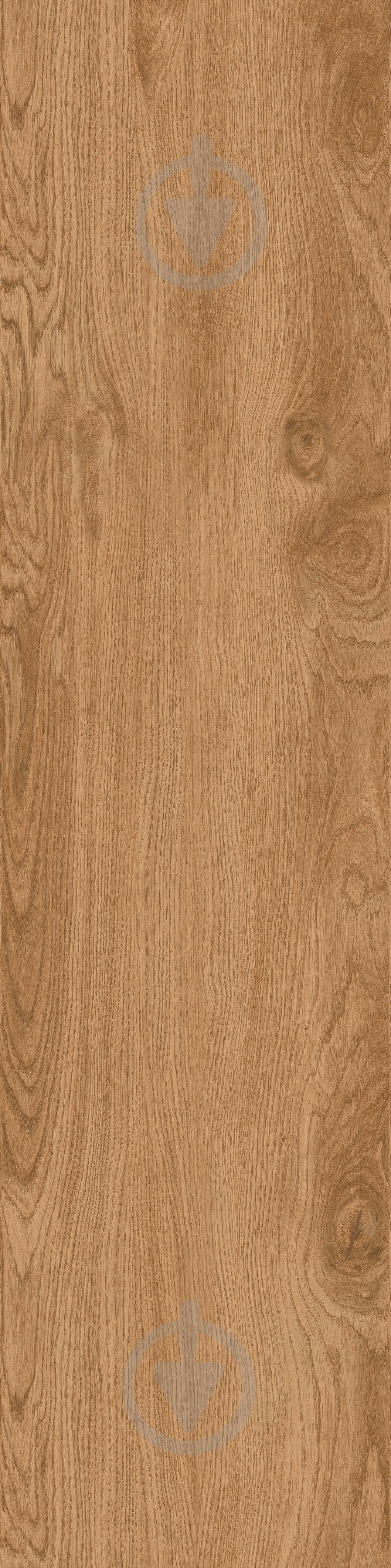 Плитка Allore Group Timber Gold F PR R Mat 30x120 см - фото 1