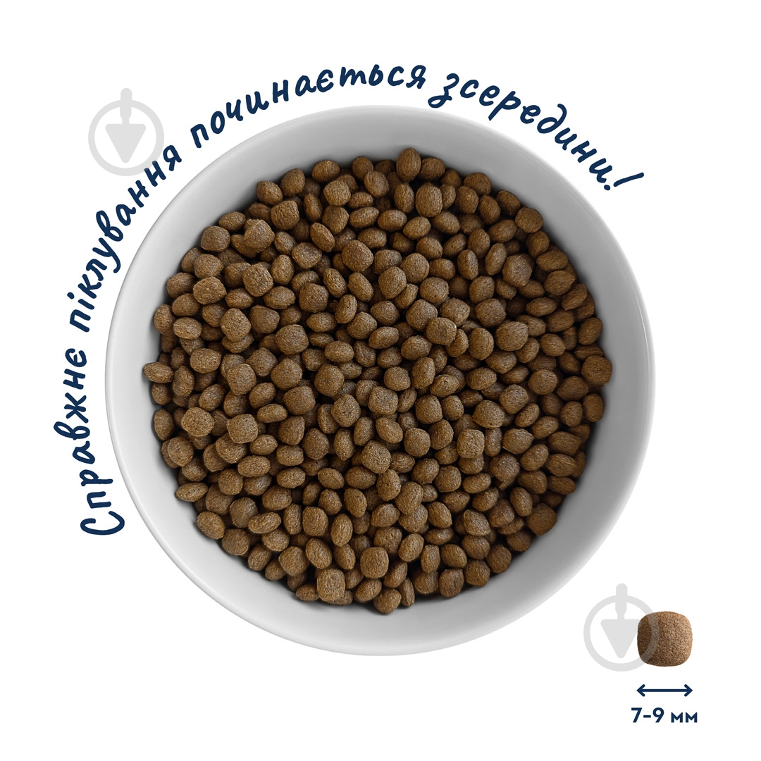 Корм сухой низкозерновой Home Food для активных взрослых собак и юниоров малых пород Ягнятина и рис Low-grain For active adult and junior 700 г - фото 3 Корм сухой низкозерновой Home Food для активных взрослых собак и юниоров малых пород Ягнятина и рис Low-grain For active adult and junior 700 г - фото 3