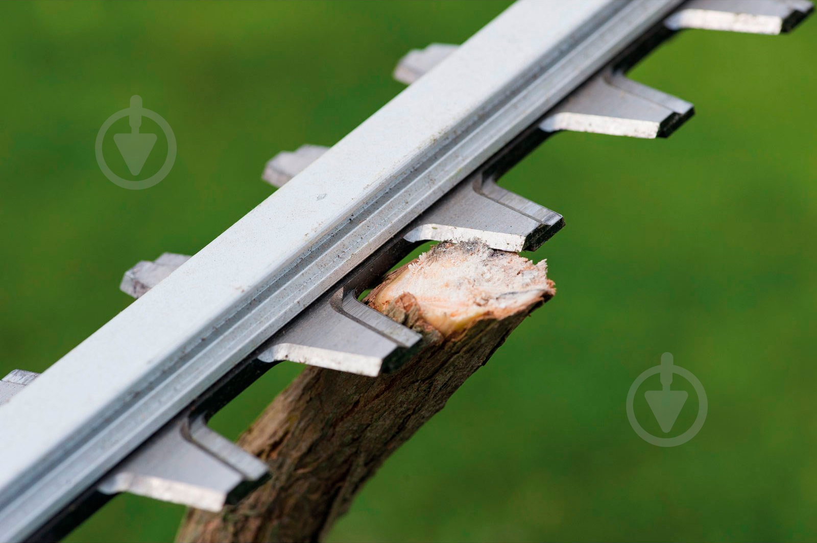 Кусторез аккумуляторный RYOBI OHT1855R - фото 2