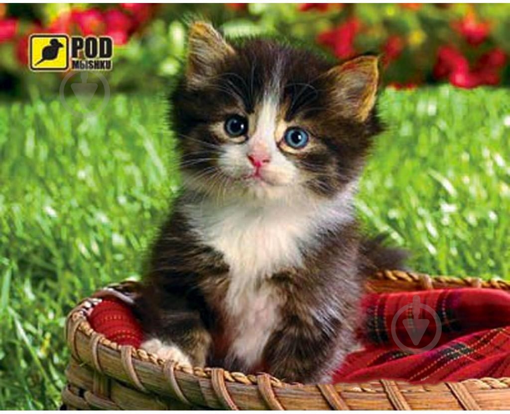 Коврик для мышки Pod Mishkou котенок в корзине (-) - фото 1 Коврик для мышки Pod Mishkou котенок в корзине (-) - фото 1