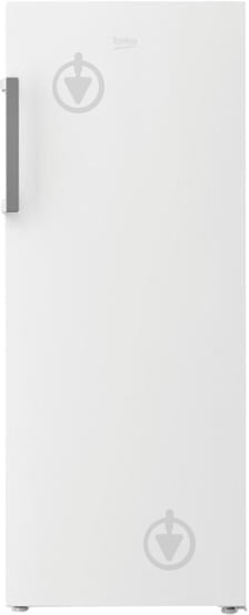 Морозильная камера Beko RFNE270K21W - фото 1