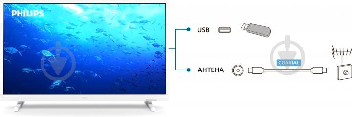 Телевизор Philips 24PHS5537/12 - фото 8