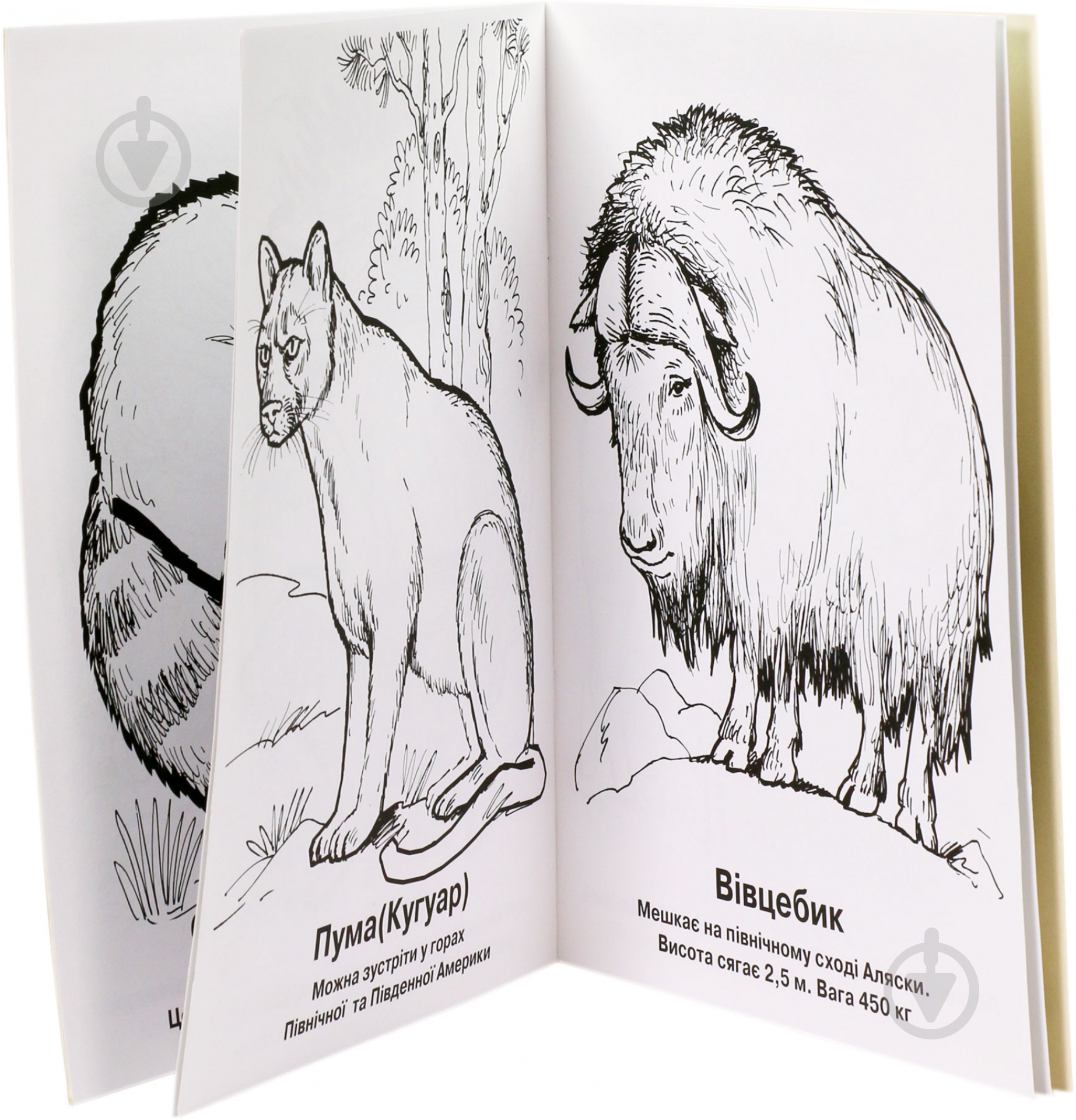 Книга «Ведмежа» 978-966-440-095-1 - фото 2 Книга «Ведмежа» 978-966-440-095-1 - фото 2