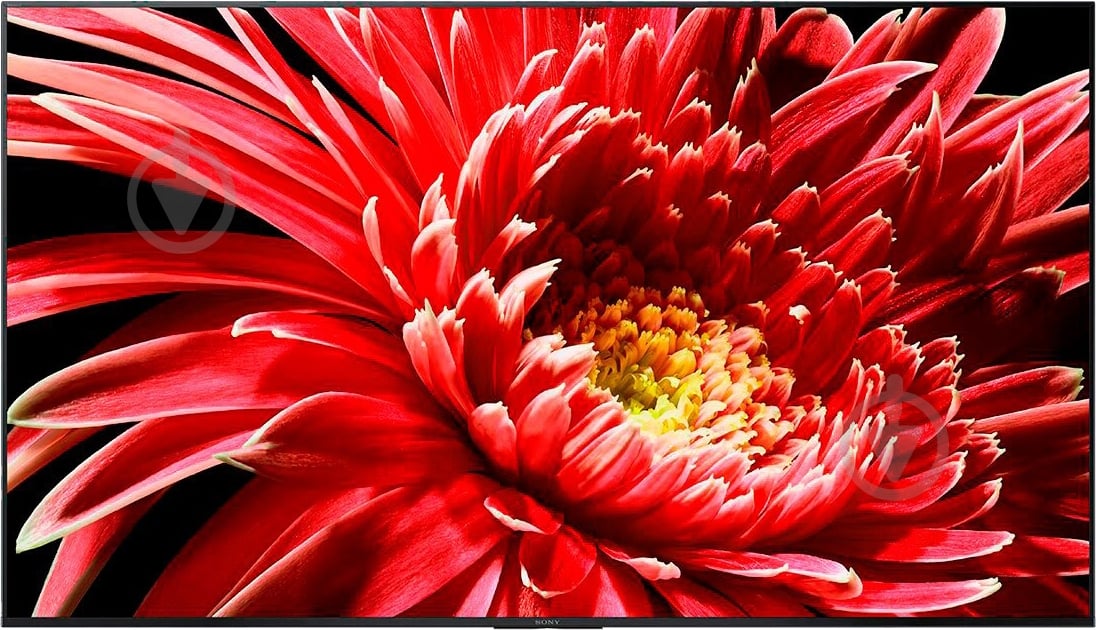 Телевизор Sony KD75XG8596BR2 - фото 3 Телевизор Sony KD75XG8596BR2 - фото 3