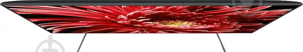 Телевизор Sony KD75XG8596BR2 - фото 6 Телевизор Sony KD75XG8596BR2 - фото 6