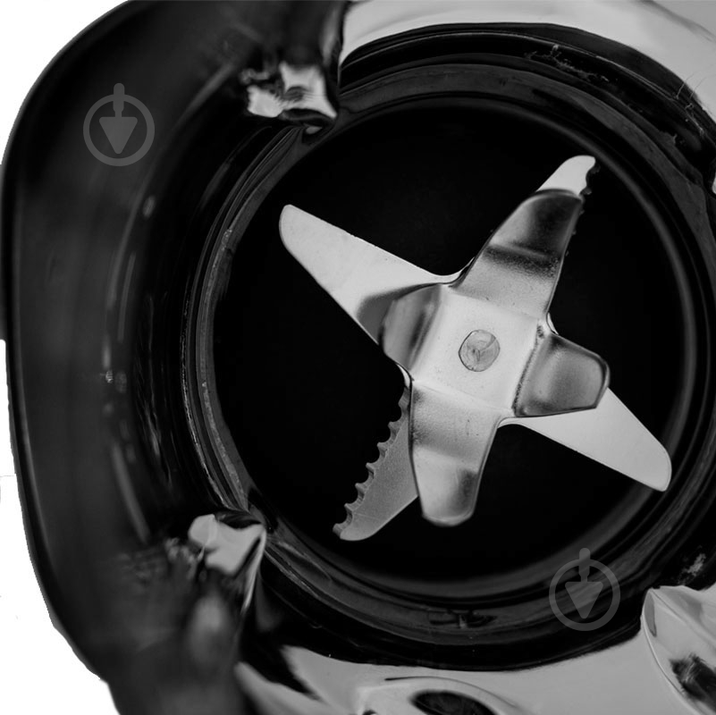 Блендер стационарный Caso MX 1000 - фото 3