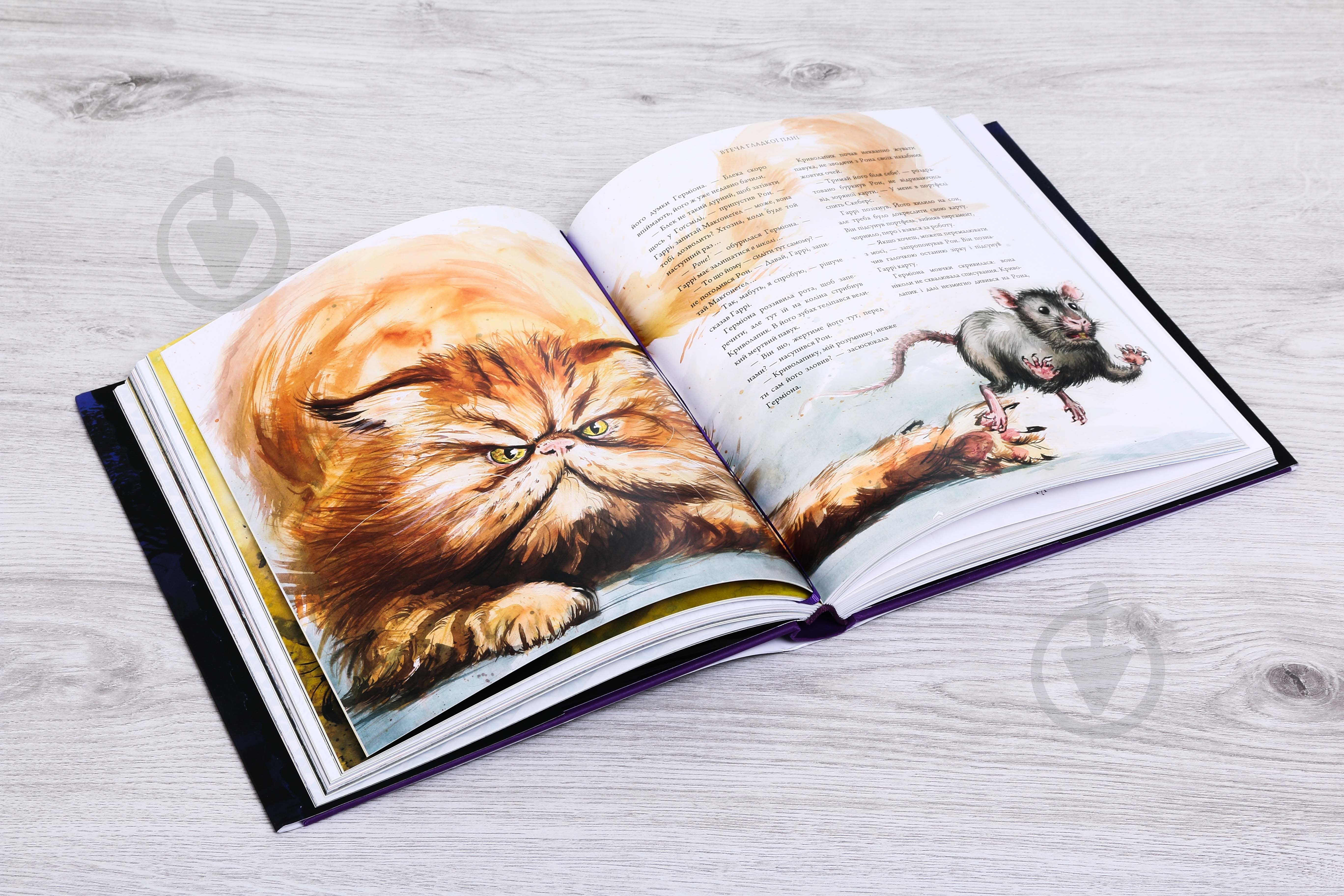 Книга Джоан Роулінг «Гаррі Поттер і в’язень Азкабану. Велике ілюстроване видання» 9786175851319 - фото 3