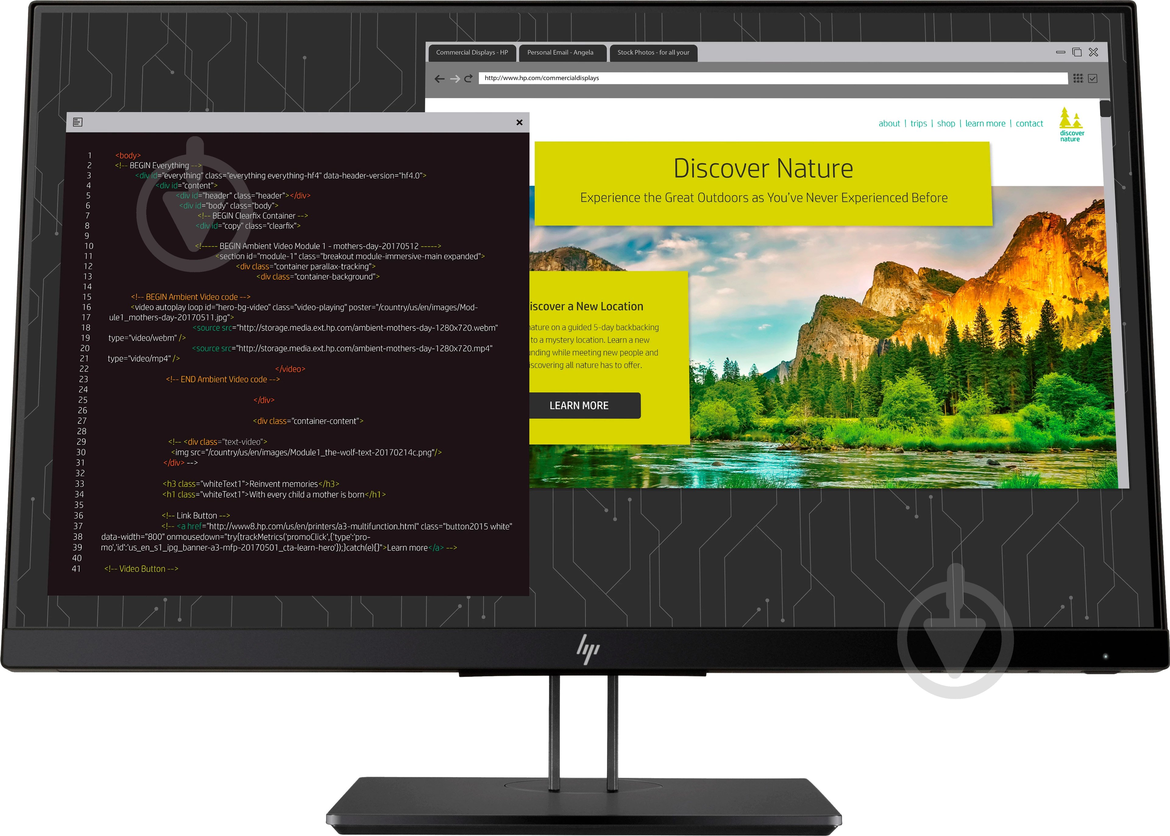 Монитор HP Z24nf G2 23,8" (1JS07A4) - фото 1